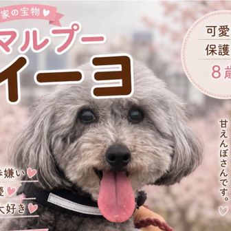 イーヨ
