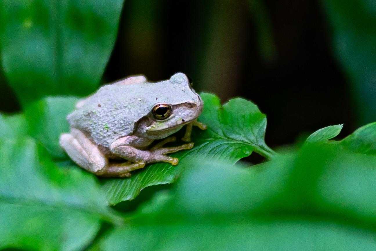 オラわくわくすっぞ✨