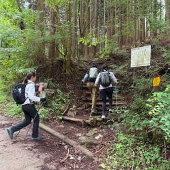 登山口に到着✌️

ここからいよいよ登山道を登っていきます💪