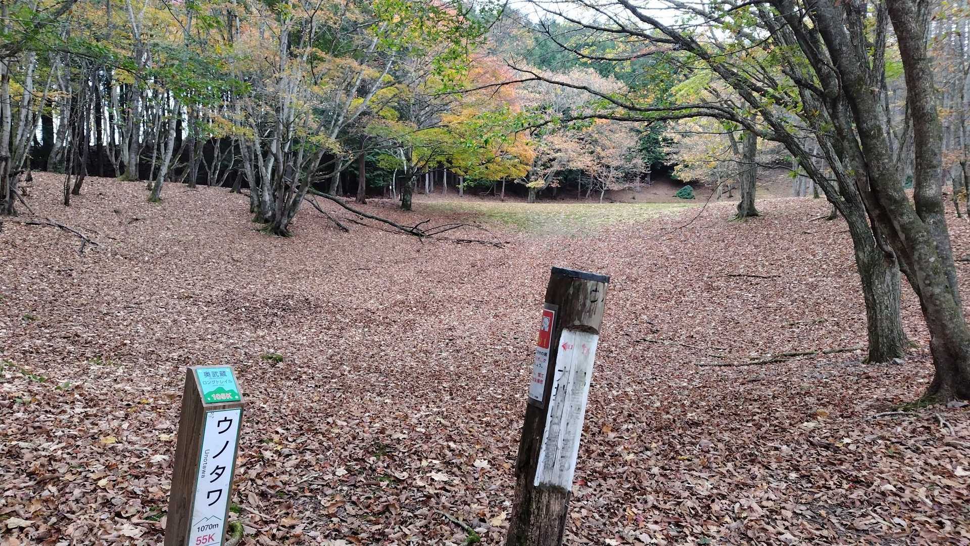 名郷バス停-鳥首峠-天神山-ウノタワ-大持山-妻坂峠 周回コースの写真