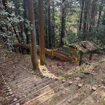 乗れると期待したジェットコースターは稼働停止🎢