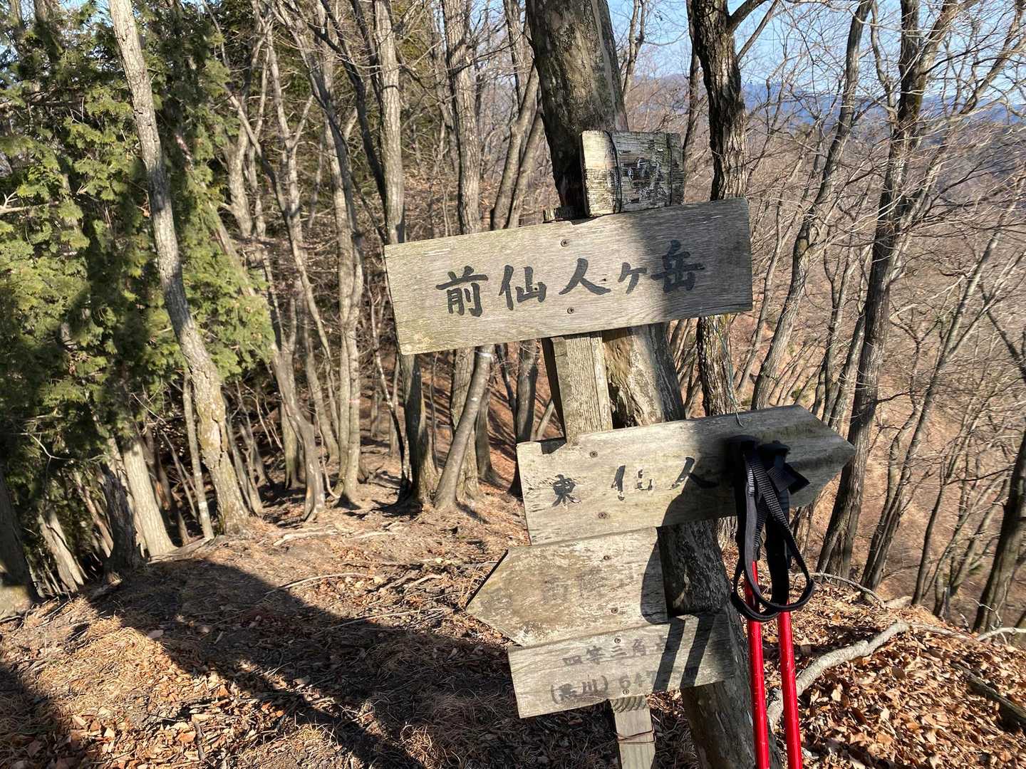 一色山・金狐山（展望の丘）・雨降山・大窪（大久保）・前仙人ヶ岳・中仙人ヶ岳・北荒倉山・荒倉山・... / Elena Winterさんの鳴神山 ...