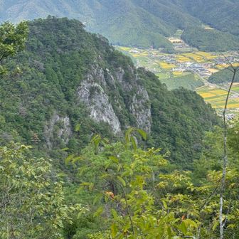 開けたところから三尾山を俯瞰出来る
岩山だなあー