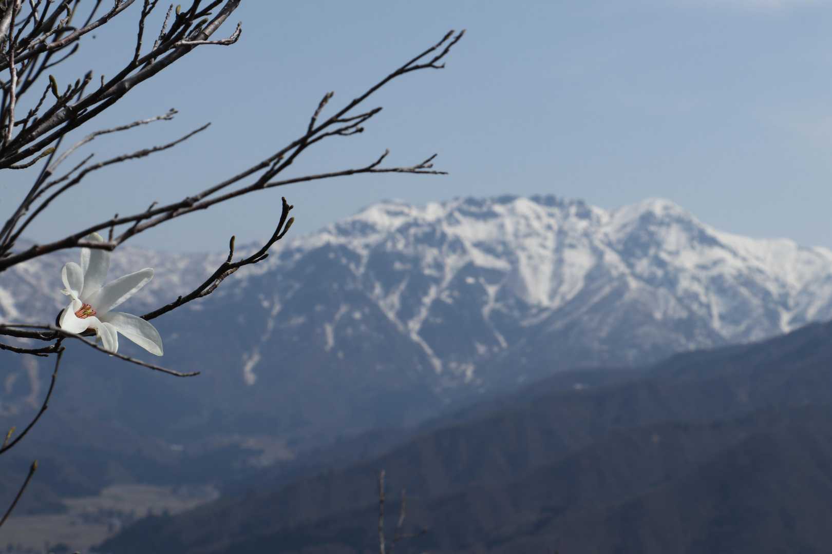 坂戸山登山口-坂戸山 周回コースの写真