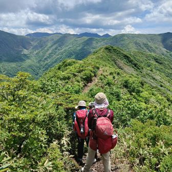 シシゴヤノ頭から七ッ小屋山に向かう気持ちのよい稜線