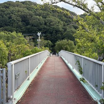 この橋を超えると辛い箇所が待ち構えております。
既に足取りが重い....