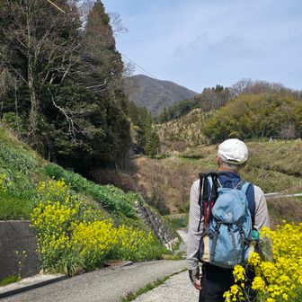 昨年、沢山咲いていたイカリソウ👀を凝らして一生懸命探すも...まだ早かった😨

登りも降りも急坂を無事に🆑️山田バス停登山口に下山🙌暫くロード歩き🚶〜