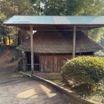 しばし神社、お寺めぐりです⛩️
