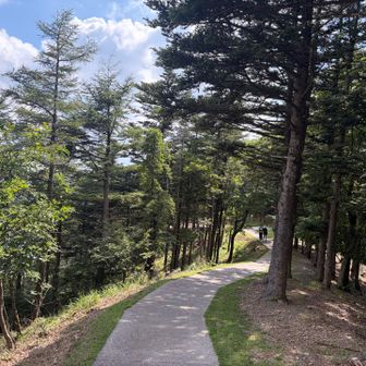 道が開けました。ツインテラスです。