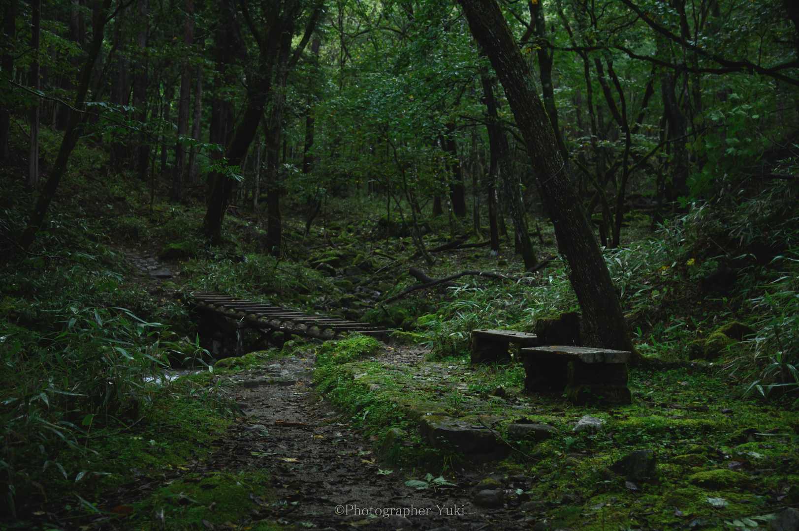 静。