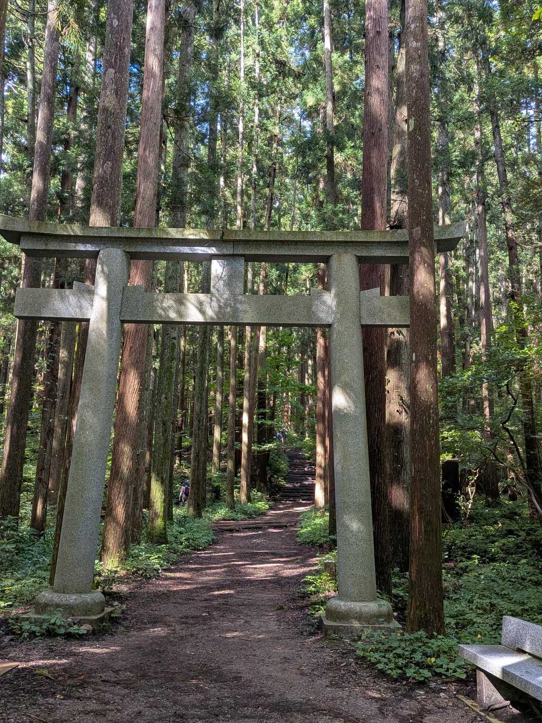 久しぶりの弥彦山✨。厳かな雰囲気が好きないつもの表参道コースから登り始めます。