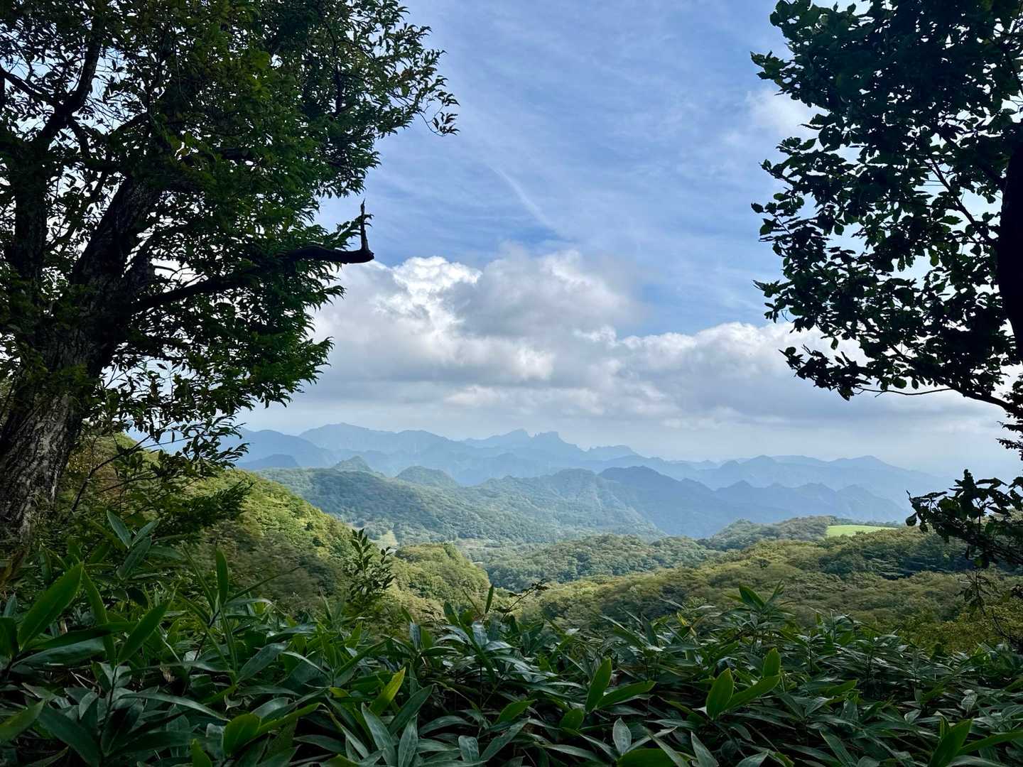 途中の景色✨✨