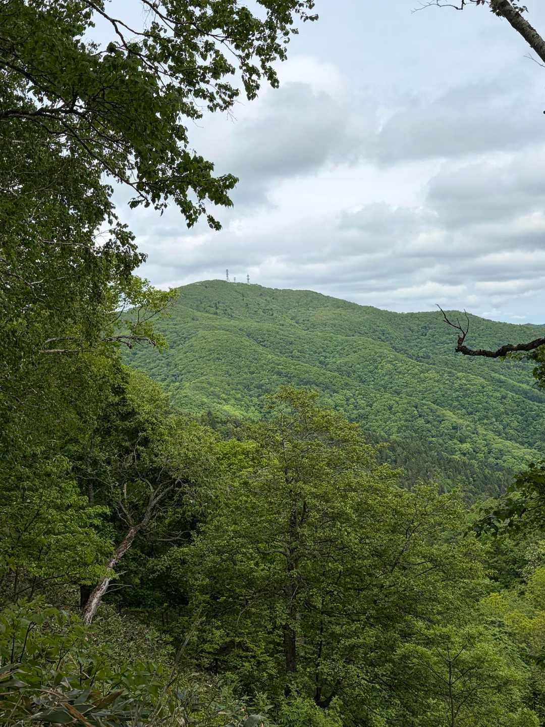 遠く仁頃山⛰️見えます