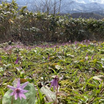 太陽の光を浴びて✨