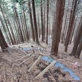 う〜ん、あれだけ登ったのやっぱり降りるのか。

平らな尾根が続いているとの一縷の望みを抱いていたが😅