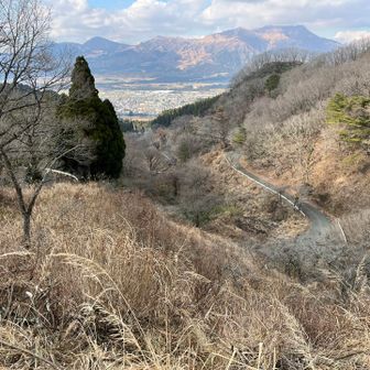 お天気に恵まれ、気持ち良く歩けました🙆‍♀️