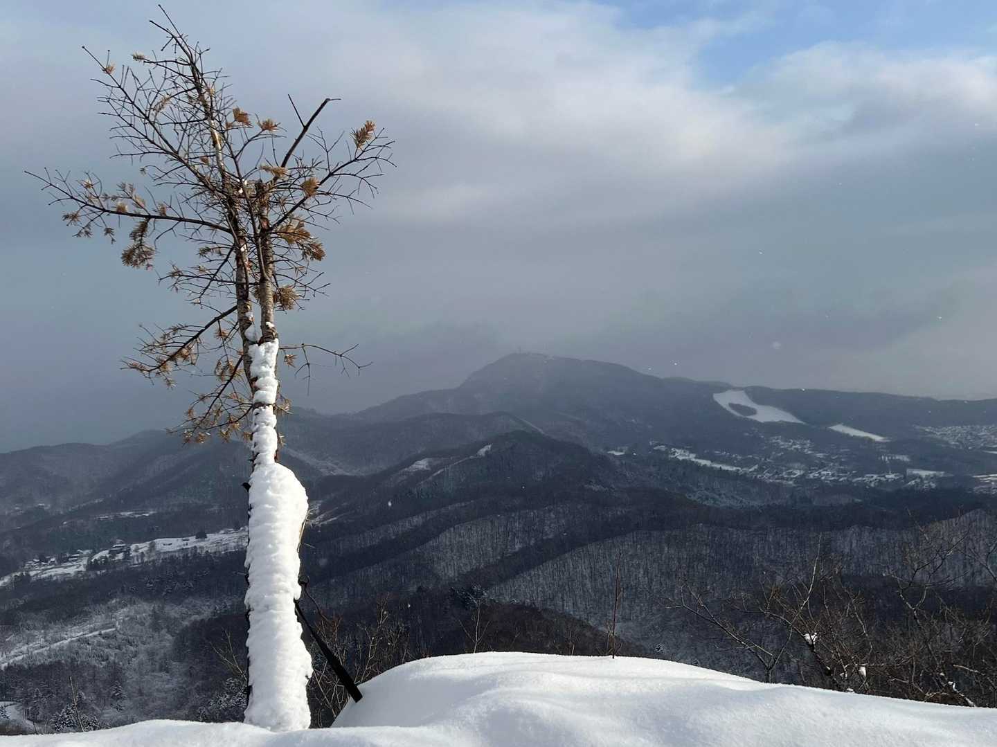 藻岩山霞んで来ました。