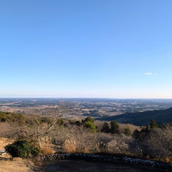 この後、とんでもないことが…