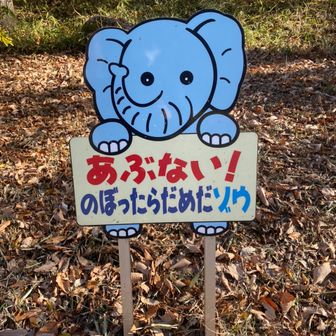 ぶどうのおにぎり