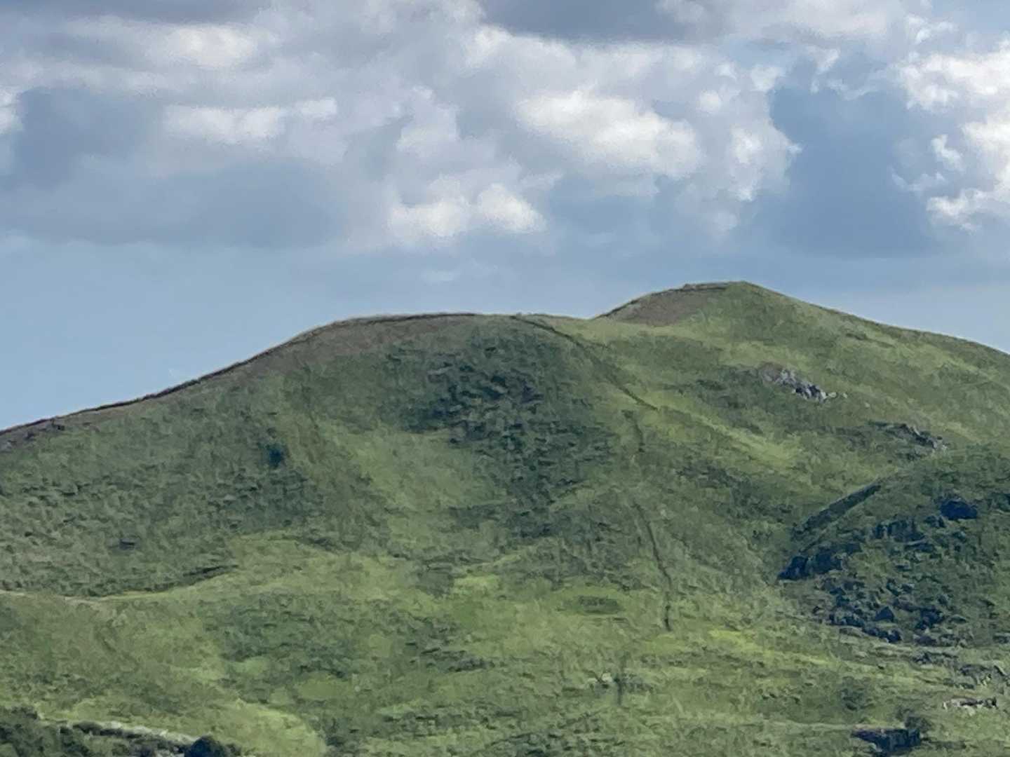こちらも草刈りしてました。