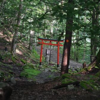 庚申山荘から1時間で一の鳥居⛩️
いやーおつかれさまでした