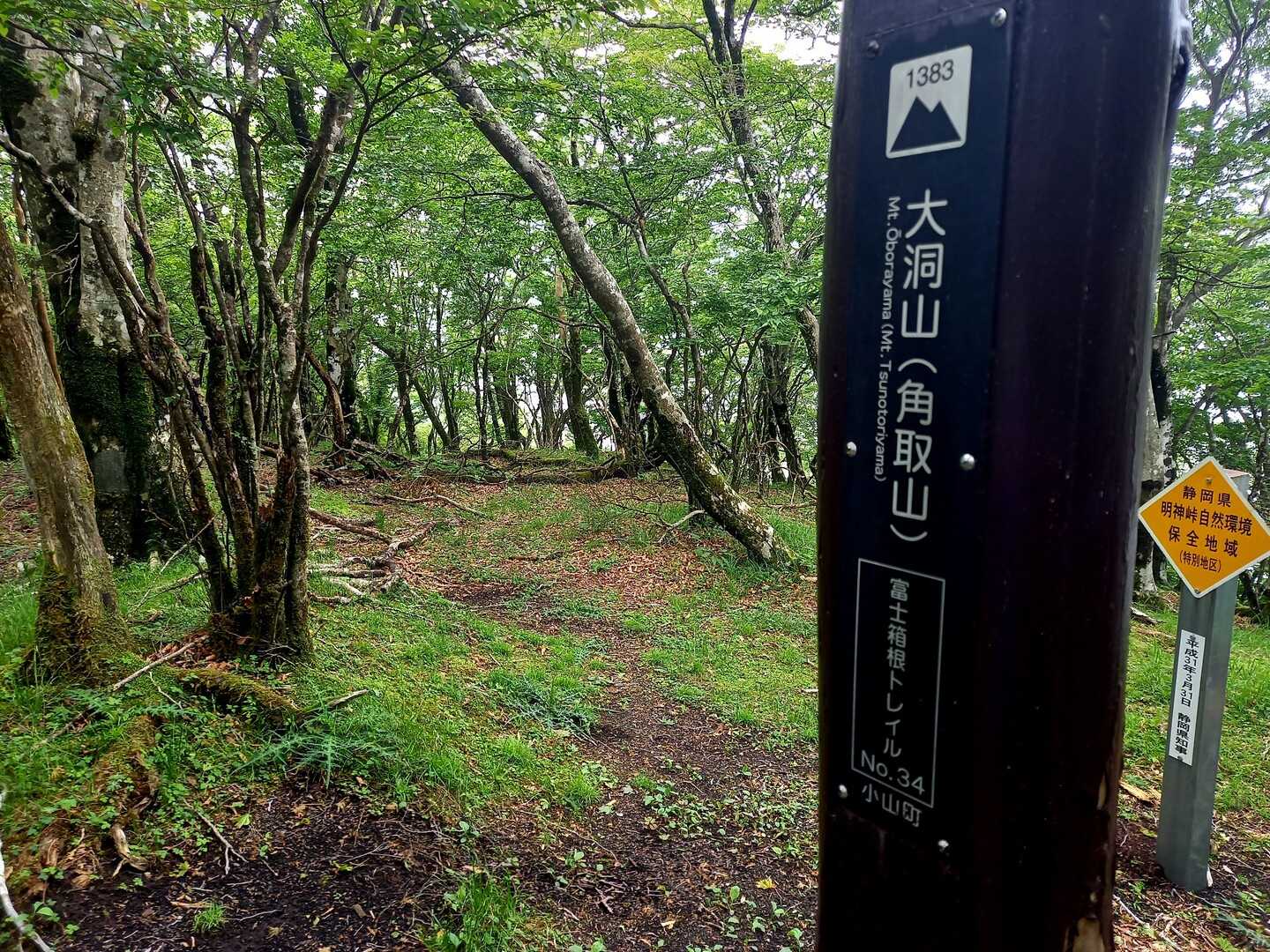 大洞山の写真