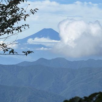 少し前まで雲に隠れていた富士山だったが、雲が晴れ顔を出す。右から新たな雲が流れてきているので、兎に角スマホで写す。山菜と富士山は見つけたらすぐに取らねば！