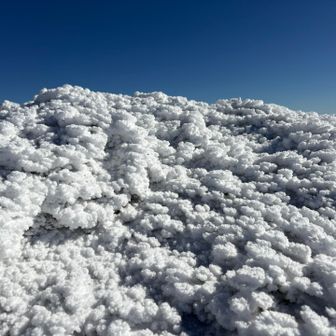 頂上のエビの尻尾？