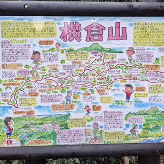 横倉山！仁淀川！
ハイキングには良さそうです。