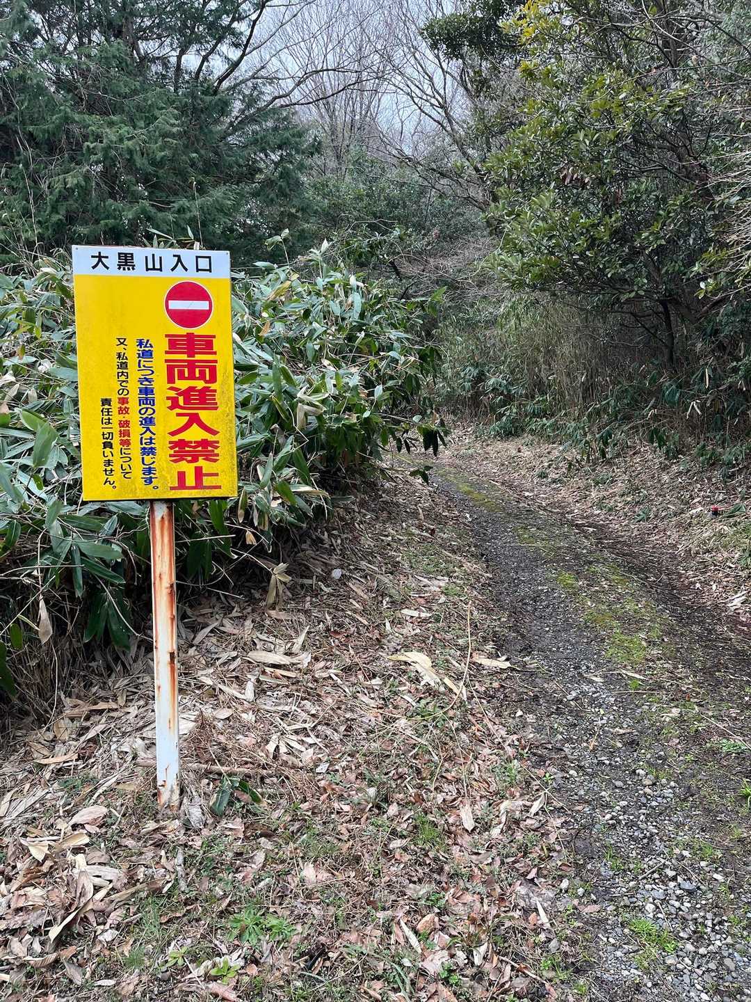 こちらからの方が歩きやすい🚶
ジムニー系なら登れそうな道🙄🚙
車両進入禁止ですけど🈲