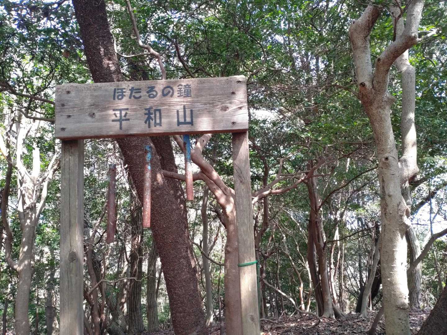 鳥川アルプス 周回コースの写真