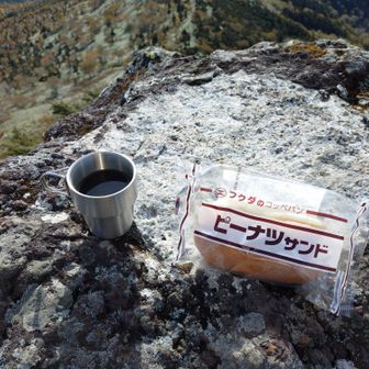 朝ごはんは福田パン。ピーナツサンドをいただきました