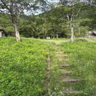 行ってきます👋