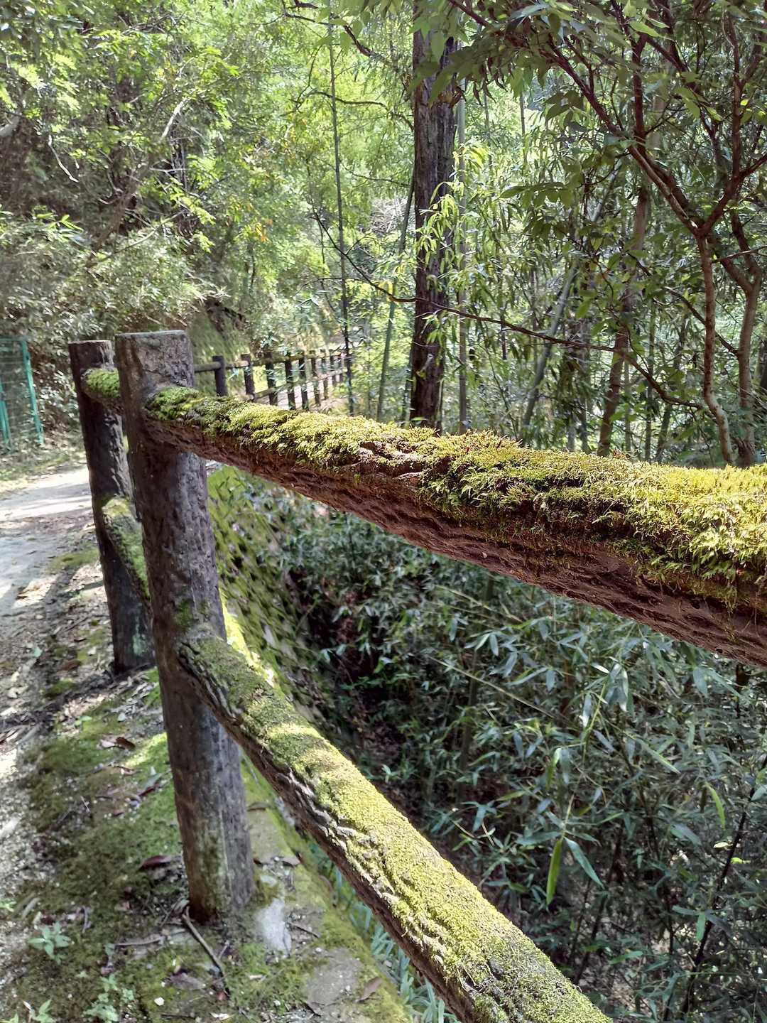国見山登山口-国見山-ふれあいの里-交野山 往復コースの写真