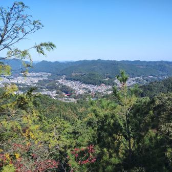 天狗岩にて。

行きに通った和田橋が良く見える。