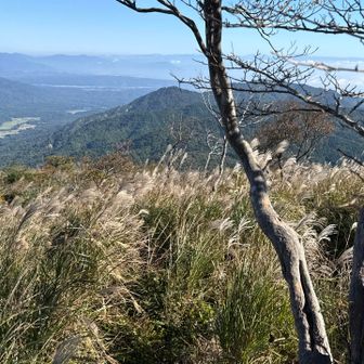 ヤケオ山の下り。ススキがいっぱい。
登山道は結構荒れ荒れ