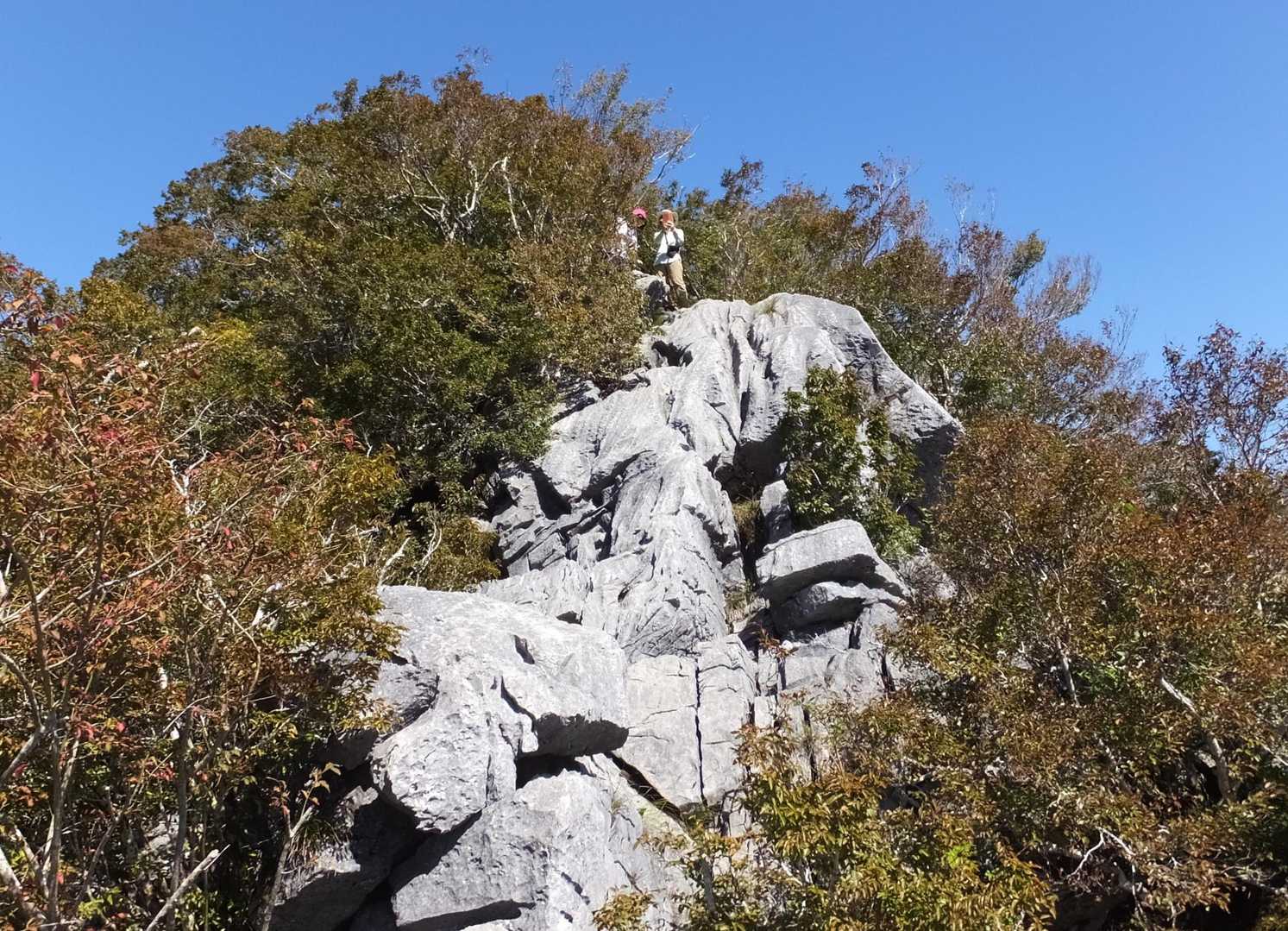 降りて　上を見たところ