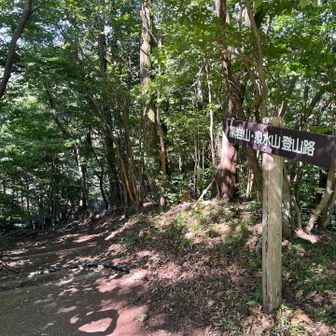 初めて使う登山口