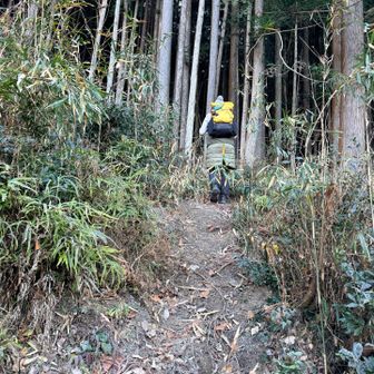 ココからかなりの急登💦