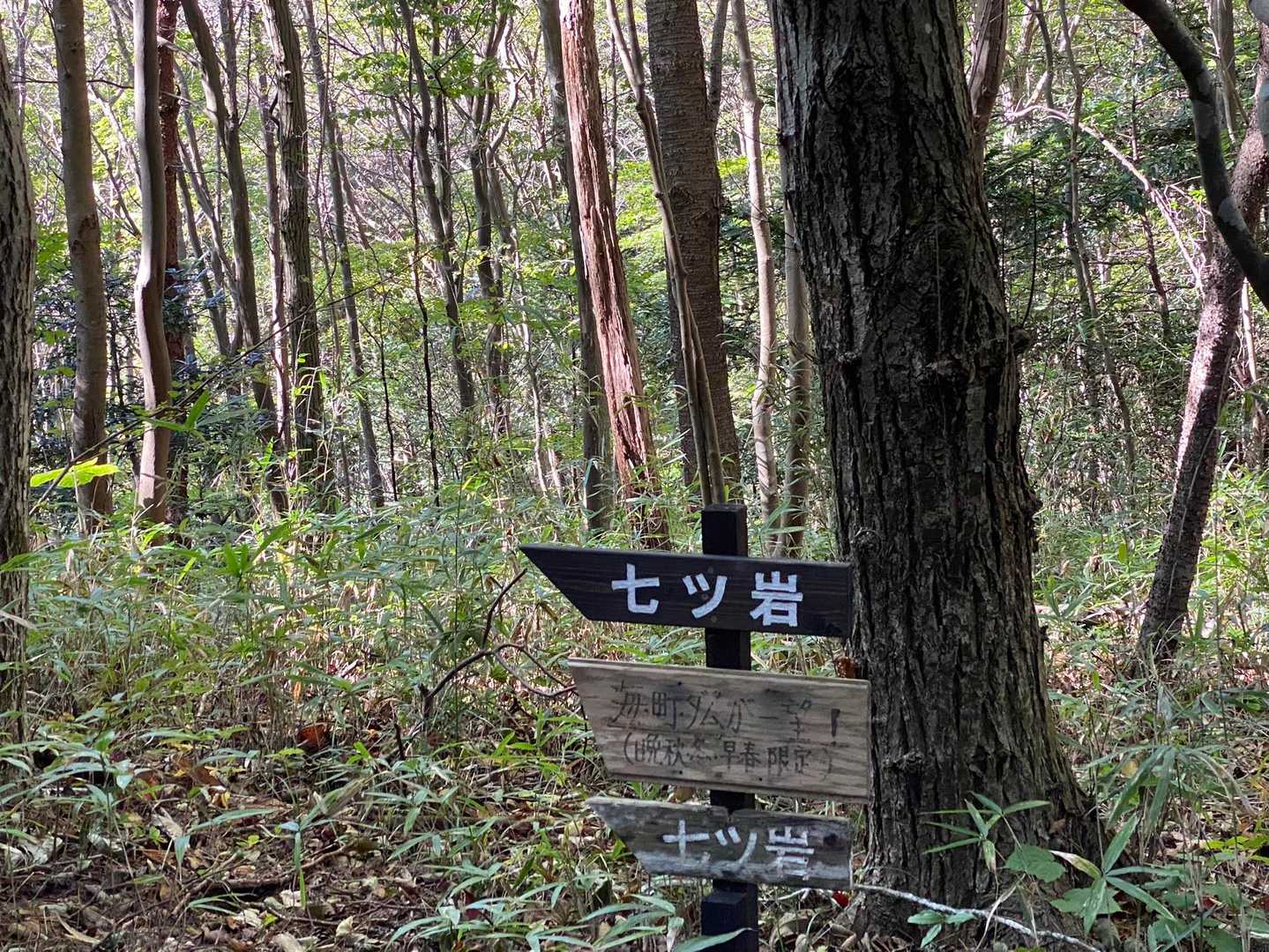 土岳 往復コースの写真