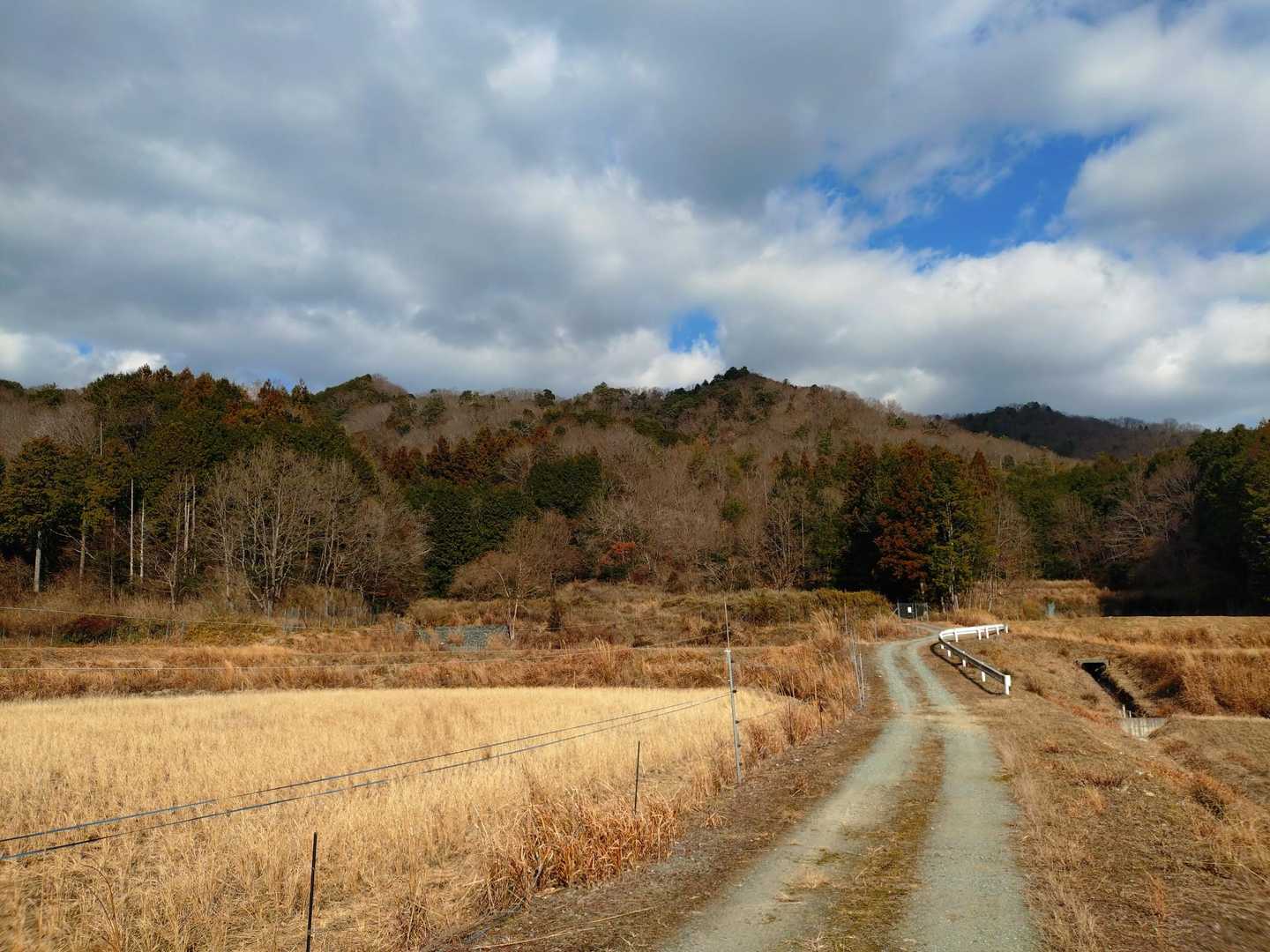 振り返るとひよどり城址