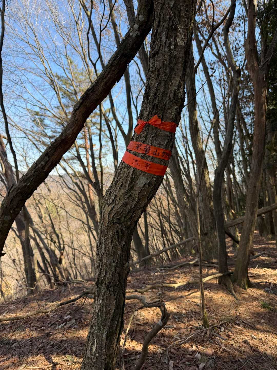 テープを巻いただけの山頂