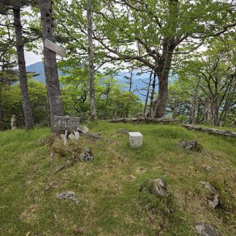 仏生ヶ岳山頂