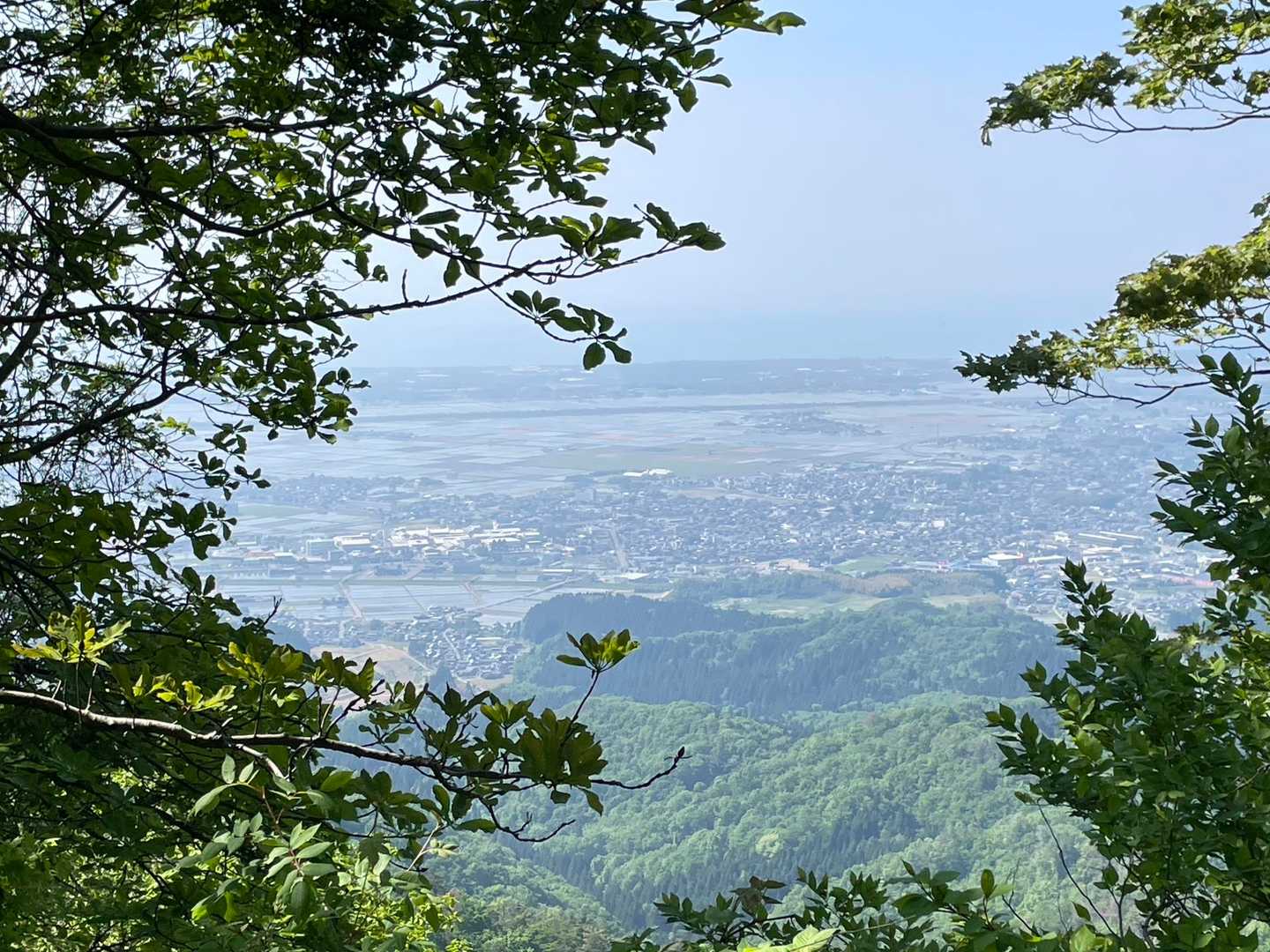木々の間からは中条の町並みが…