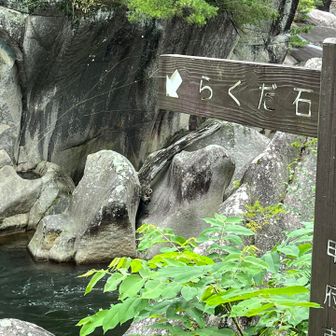 ラクダ🐪に見えますね！