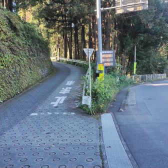左の道へ。