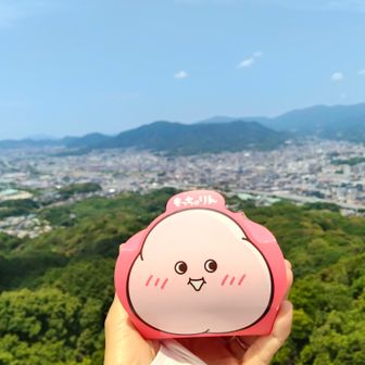 いただきまーす
この写真を隊長とまこつんに送る