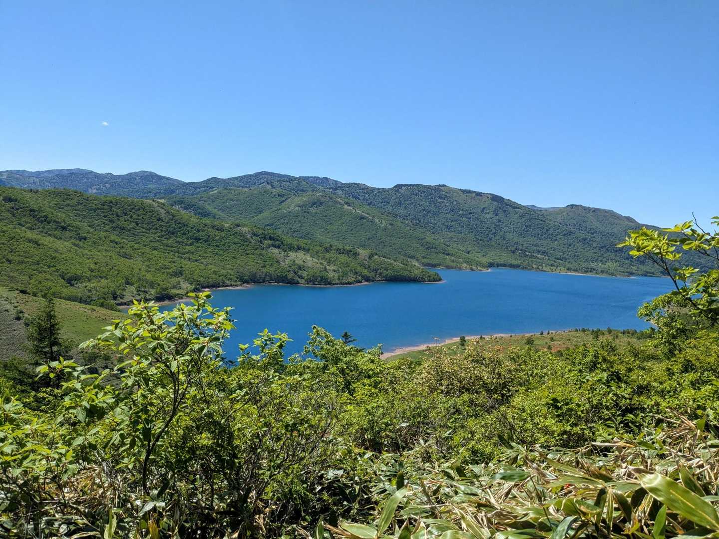 コバルトブルーの野反湖
