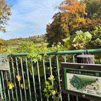 住宅地の中に保護されてる
いたかの森🌳塚ノ杁池