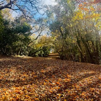 歩き易いけど2.3回
壁みたいな急坂が👩🏻‍🍳⑅*॰笑